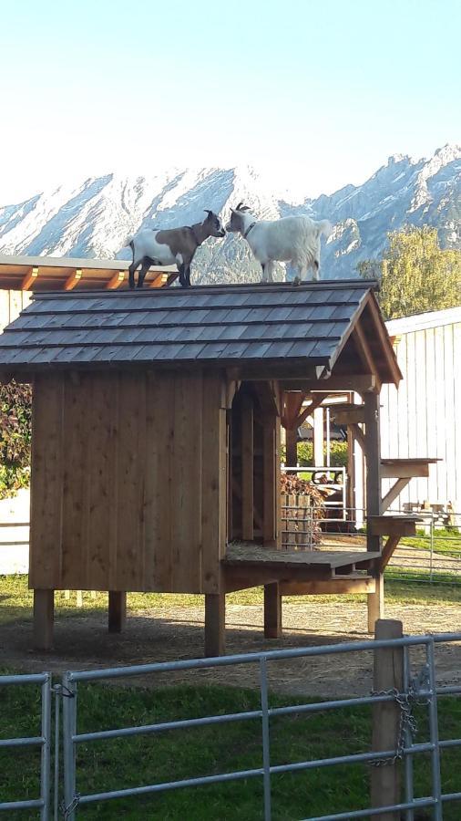 Zweimaederlhaus Διαμέρισμα Bad Mitterndorf Εξωτερικό φωτογραφία