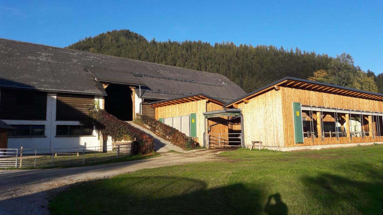 Zweimaederlhaus Διαμέρισμα Bad Mitterndorf Εξωτερικό φωτογραφία
