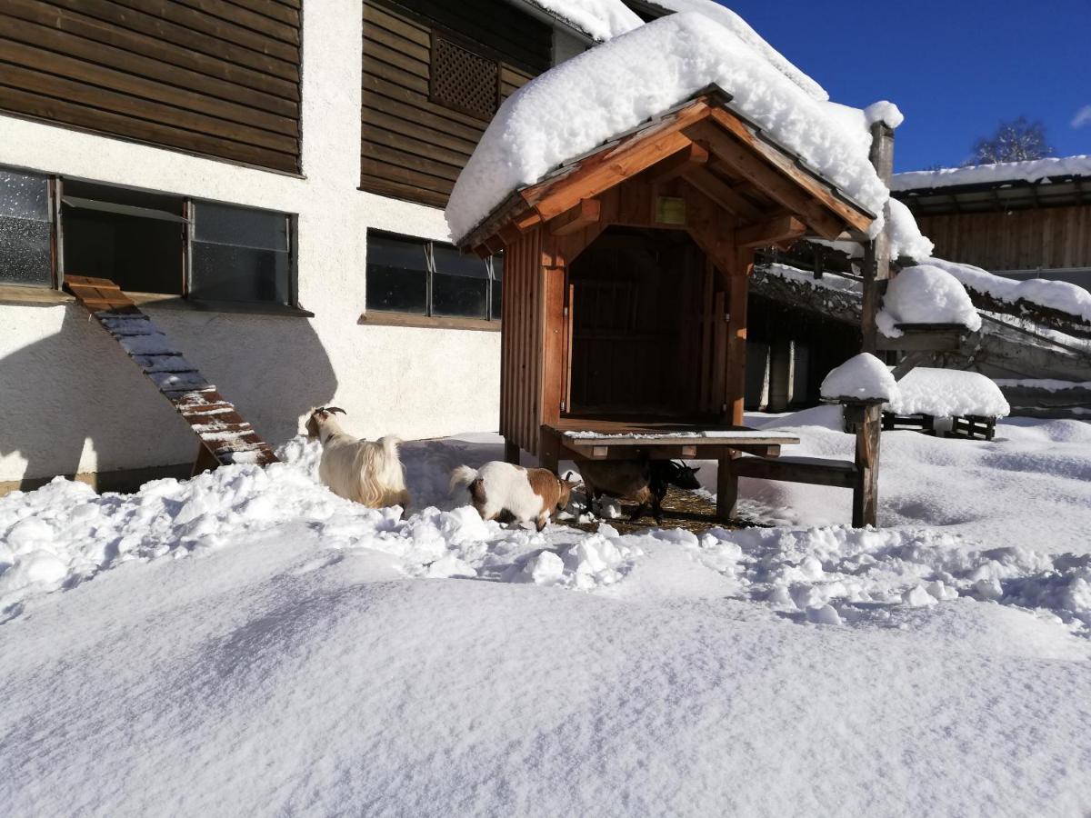 Zweimaederlhaus Διαμέρισμα Bad Mitterndorf Εξωτερικό φωτογραφία